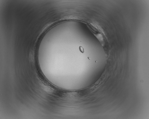 X0000074020108200609061126