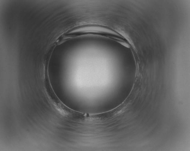 X0000074020109200609061126
