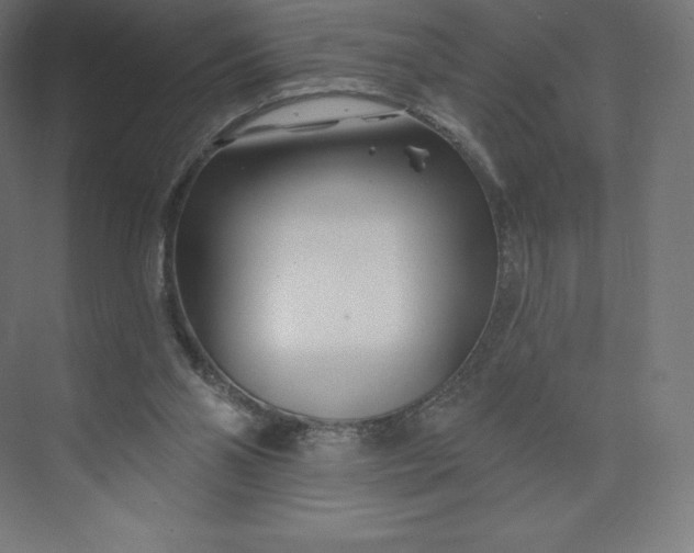 X0000074020110200609061126