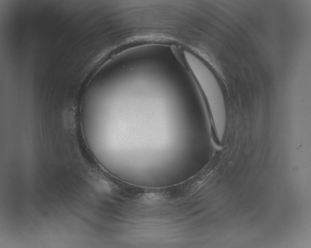 X0000074020111200609061126