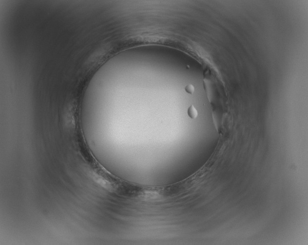 X0000074020114200609061126