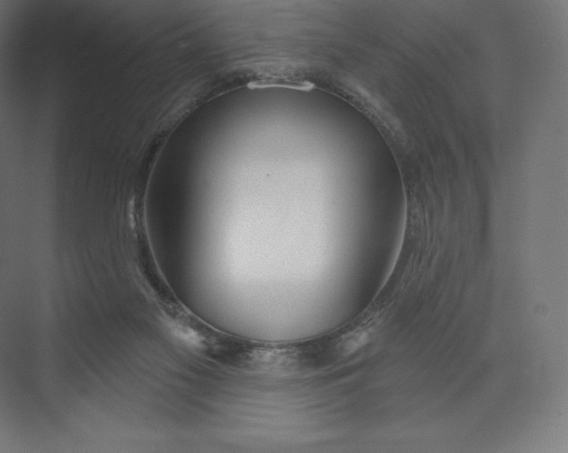 X0000074020117200609061126