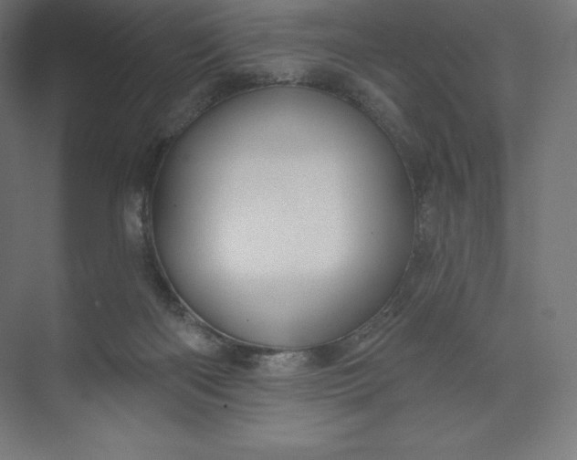 X0000074020122200609061126