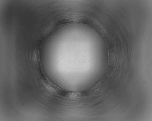 X0000074020126200609061125