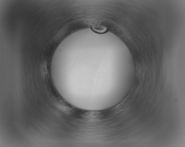 X0000074020128200609061125