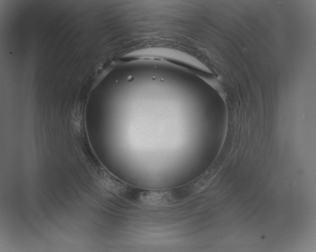 X0000074020129200609061125