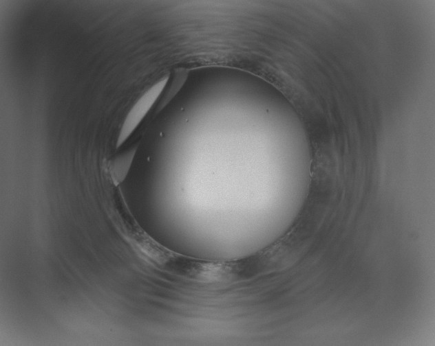 X0000074020130200609061125