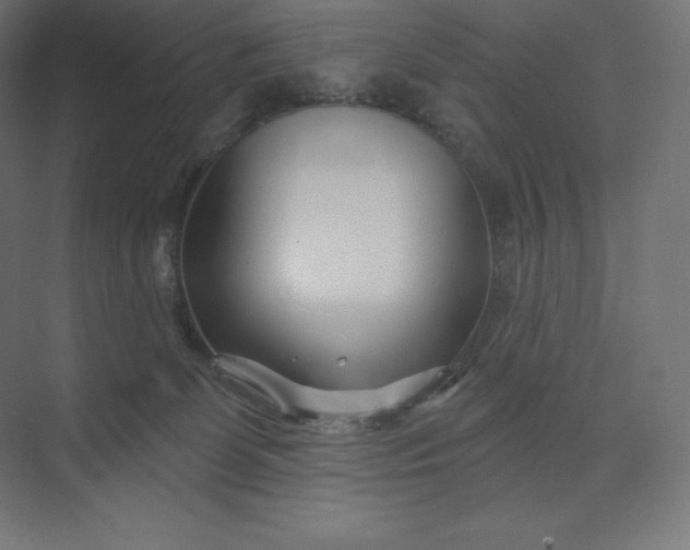 X0000074020131200609061125