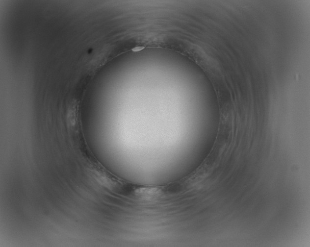 X0000074020133200609061125