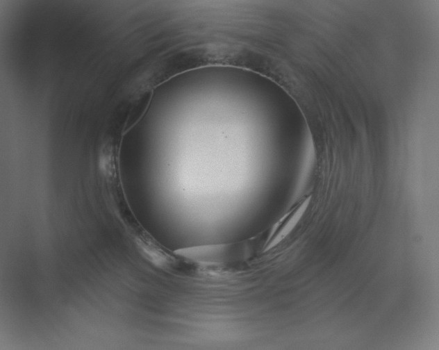 X0000074020137200609061125
