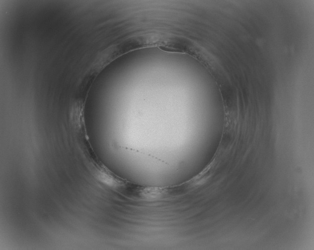 X0000074020142200609061125