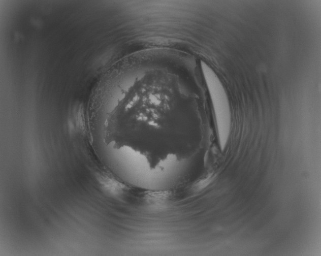 X0000074020143200609061125