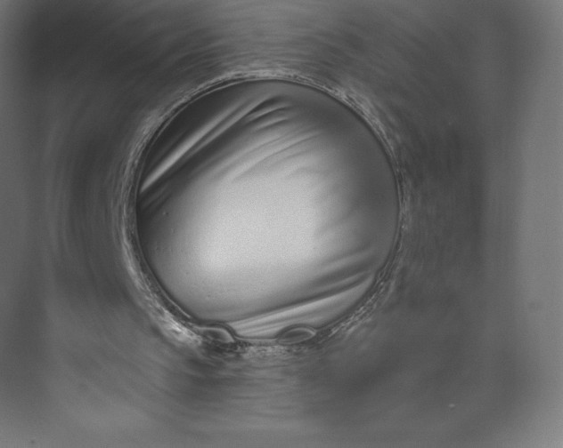 X0000074020145200609061124