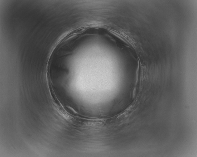 X0000074020147200609061124