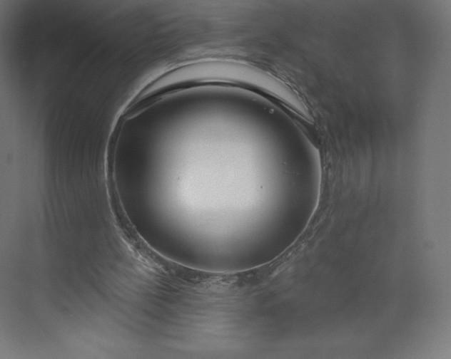 X0000074020148200609061124