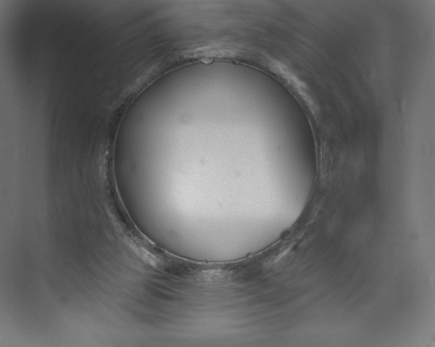 X0000074020153200609061124