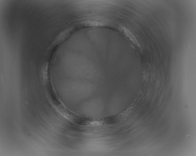X0000074020163200609061125