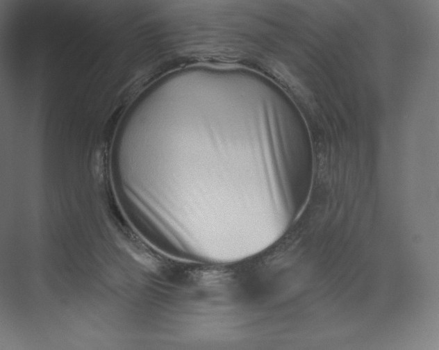 X0000074020165200609061125