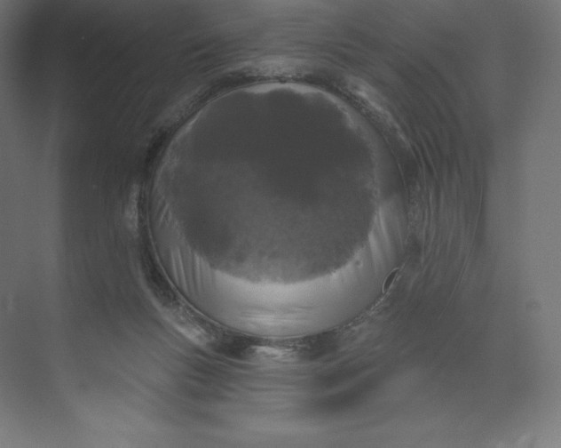 X0000074020167200609061125