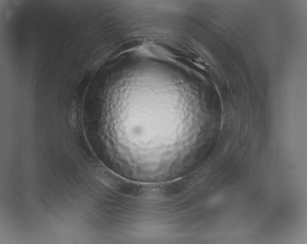 X0000074020169200609061125