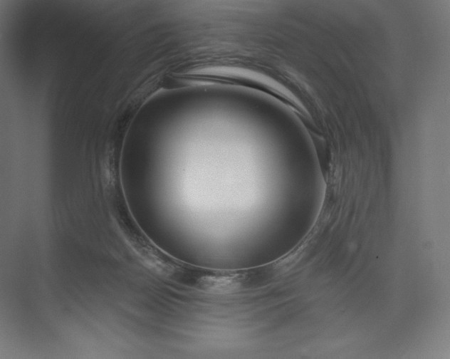 X0000074020170200609061125