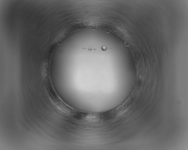 X0000074020171200609061125