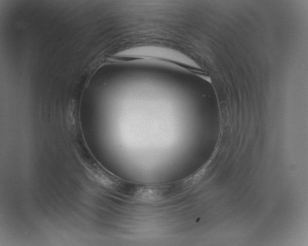 X0000074020174200609061125