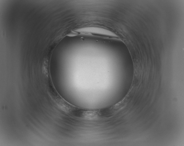 X0000074020175200609061125