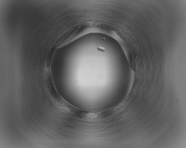 X0000074020176200609061125