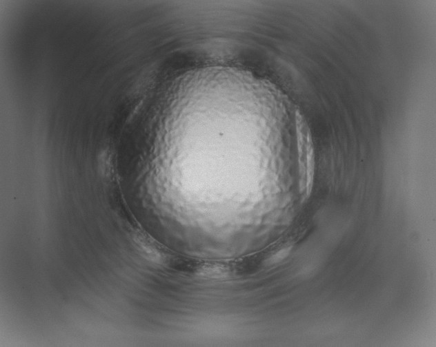 X0000074020177200609061125