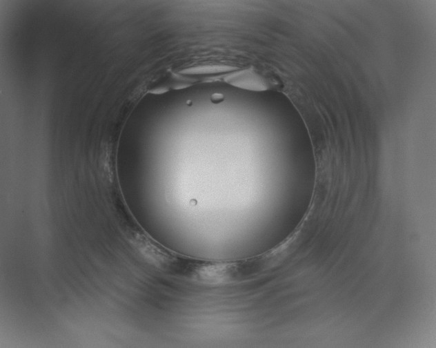 X0000074020178200609061125
