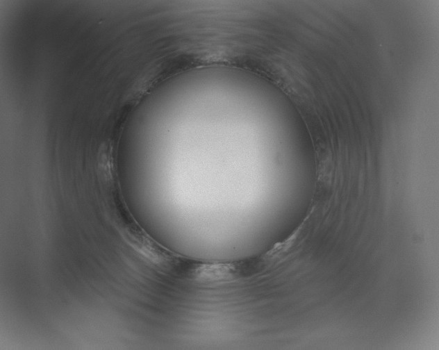 X0000074020179200609061125