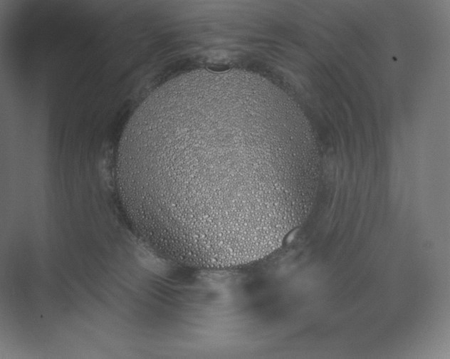 X0000074020181200609061125