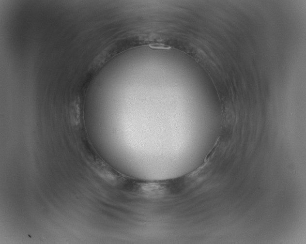 X0000074020183200609061125