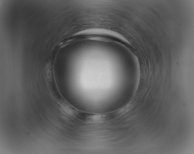 X0000074020184200609061125