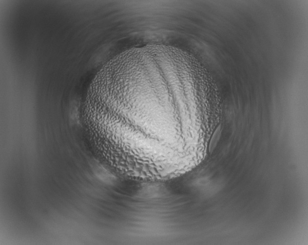 X0000074020185200609061125