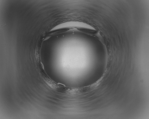 X0000074020186200609061125