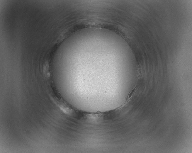 X0000074020187200609061125