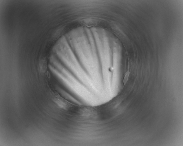 X0000074020189200609061125