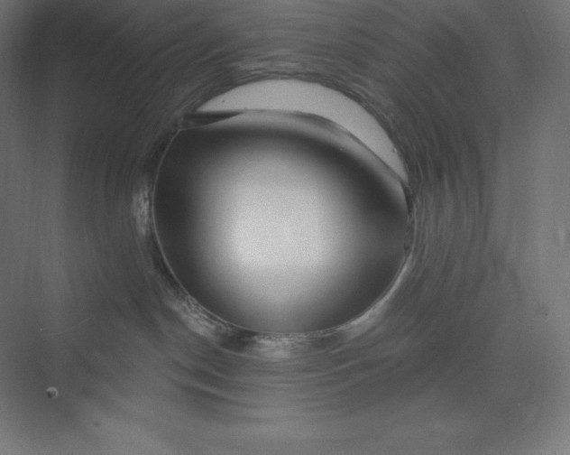 X0000074020190200609061125