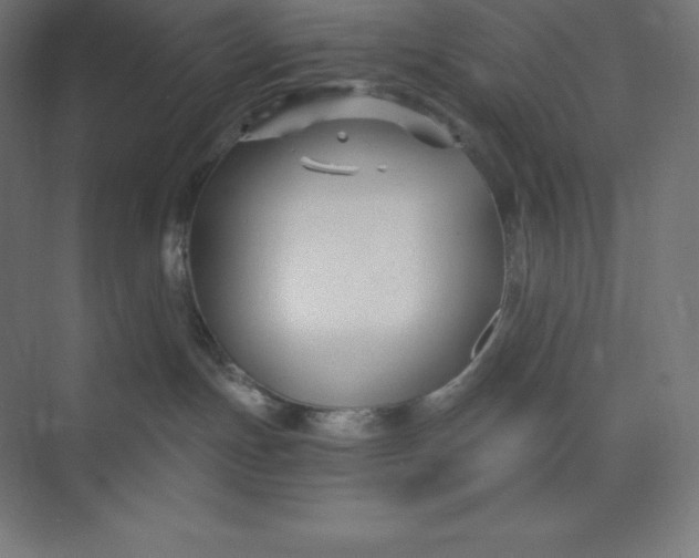 X0000074020191200609061125