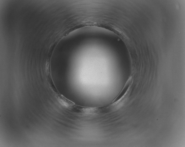 X0000074020192200609061125