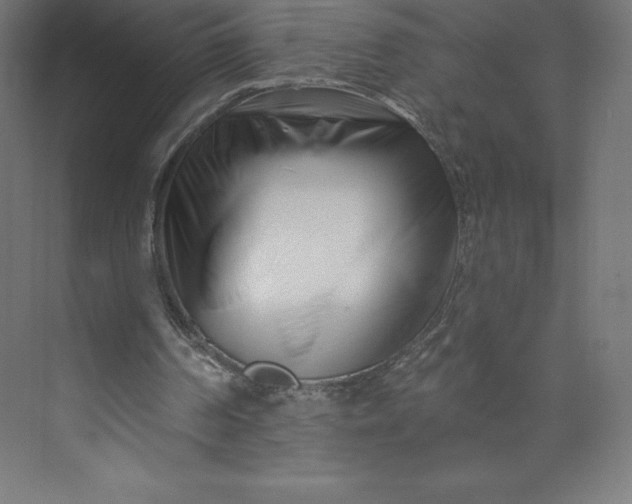 X0000074020194200609061124