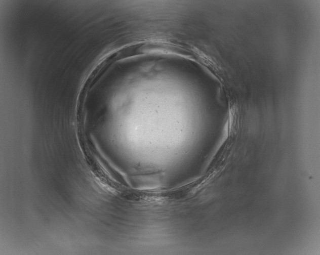 X0000074020195200609061124