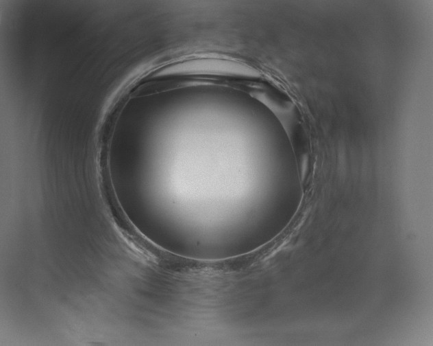 X0000074020197200609061124