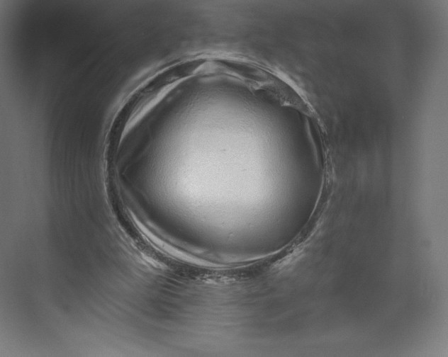 X0000074020199200609061124