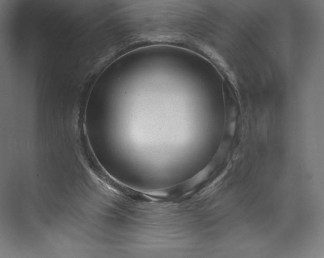 X0000074020201200609061124