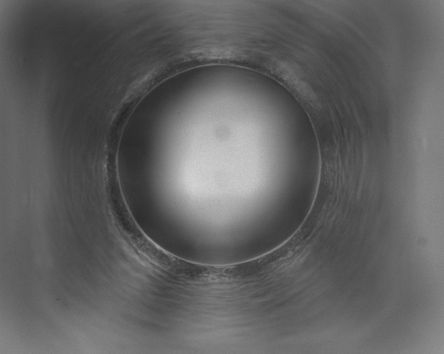 X0000074020207200609061124