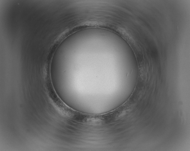 X0000074020208200609061124