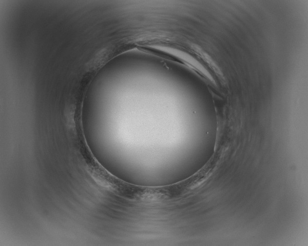 X0000074020209200609061124